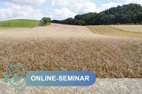 Reifes Kornfeld in hügeliger Landschaft mit Schriftzug Online-Seminar