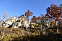 Landschaft mit Felsen und Mittelwald