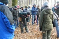 Waldbesitzer im Wald beim Verbißgutachten