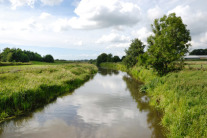 Bachlauf zwischen Wiesen
