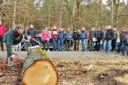 Gruppe steht auf Waldweg und betrachtet einen dicken, makellosen Stamm - die Braut