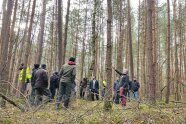 Gruppe im Wald, deren Blicke Richtung Kronendach gerichtet sind.
