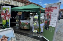 Pavillon und Roll-ups an einem Messestand im Freien