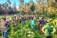 Mehrere Personen durchstreifen und begutachten gepflanzte Waldfläche.