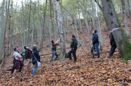 Mehrere Menschen stehen in einem Wald um Totholz gruppiert und markieren diesen