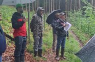 Vier Personen mit Regenjacken im Wald
