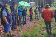 Personen mit Regenjacken und Regenschirmen stehen im Wald