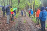 Personen mit Regenjacken und Regenschirmen stehen im Wald
