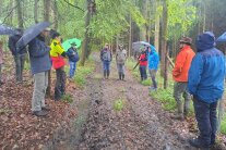 Personen mit Regenjacken und Regenschirmen stehen im Wald