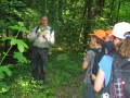 Förster erklärt Kindergruppe Blatt