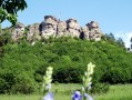 Felsen- und Hangwälder im nördlichen Frankenjura