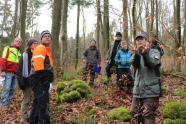 Forstamtsrat Stefan Ludwig erläutert die Vorgehensweise bei der Hiebsführung, um Naturverjüngung erzielen zu können.
