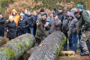 BIWA-Teilnehmer bei der Erklärung von Holzsortiermerkmalen