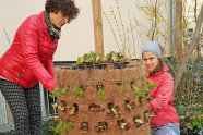 Zwei Frauen bepflanzen Pflanzturm