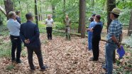 Mehrere Personen stehen im Wald