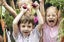 Kinder strecken die Arme in die Höhe © shutterstock/Rawpixel.com